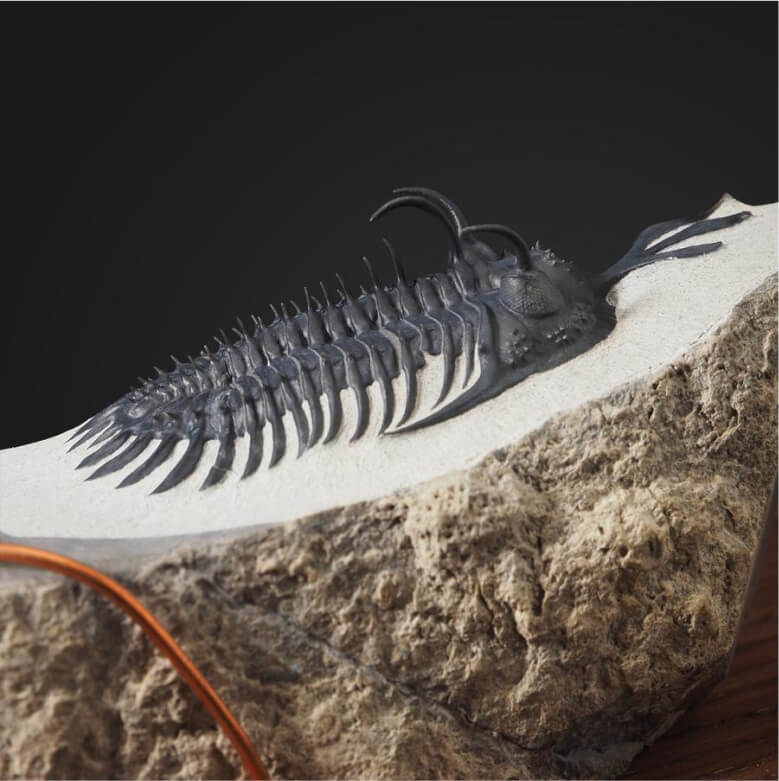 Трилобит с вилкой