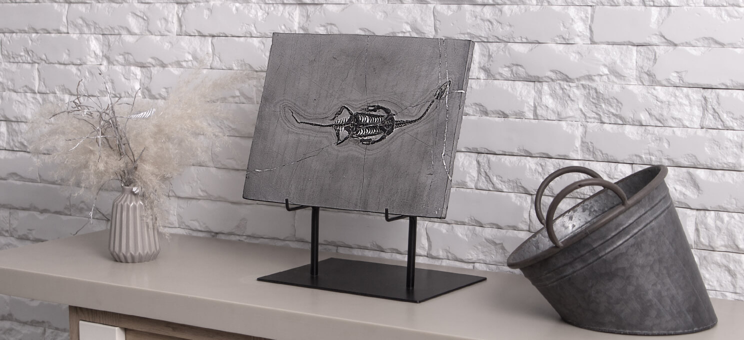 Новый интерьер