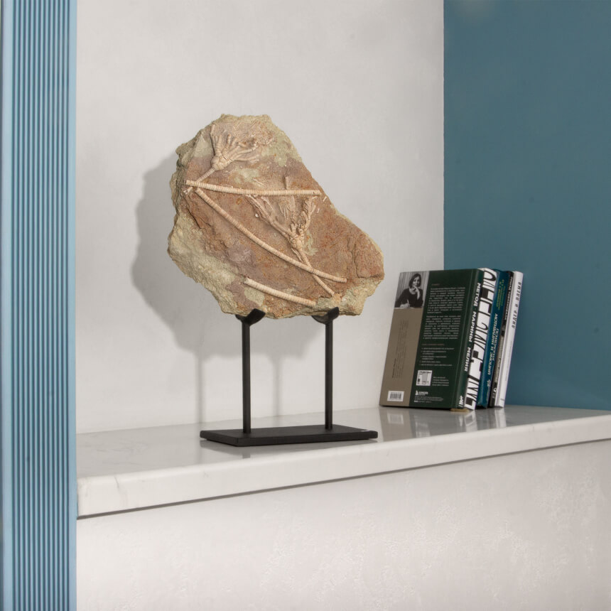 Новый интерьер